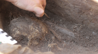 Descobren nas beiras do Sil unha das sepulturas máis antigas de Galicia