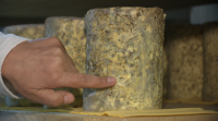 Un queixo de Chantada recibe o premio ao mellor queixo azul de España