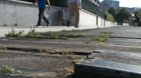 Usuarios do paseo de Santa Cristina en Oleiros denuncian o seu mal estado