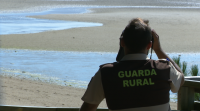 Os furtivos ameazan os gardas rurais de Cabo de Cruz