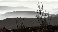 Estabilizado o incendio de Ávila, o máis importante dos últimos 40 anos en Castela e León