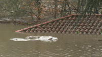 O río Miño volve estar en alerta vermella en Ourense