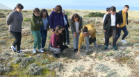 Rapaces do instituto de Fisterra recuperan unha especie propia da costa galega
