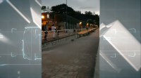 Crías de xabaril irrompen na praia de Bastiagueiro
