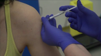 Un equipo de científicos do CiQUS busca unha vacina cunha metodoloxía novidosa