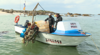 Mergulladores voluntarios retiran máis dunha tonelada de lixo dos fondos mariños na Illa de Arousa