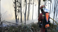 Estabilizado o incendio de Toén, tras arrasar 250 hectáreas