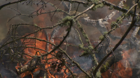 Prohibidas as queimas de restos agrícolas ou forestais; comeza a campaña de alto risco de incendios