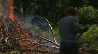 A temporada de alto risco de incendios comeza o 1 de xullo coa prohibición das queimas
