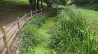 Os veciños reclaman o arranxo do paseo do río Rato en Lugo
