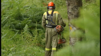 A Xunta incentivará a produción de terra nas faixas de protección de incendios