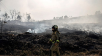 Medio Rural aplicará novas medidas na loita contra os incendios