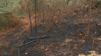 Unha muller morre en Bande ao caer ao lume cando queimaba uns restrollos