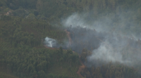 Un lume en Crecente obriga a cortar a liña ferroviaria Vigo-Ourense por mor do fume