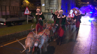 Papá Noel desfila por Ourense cos seus renos