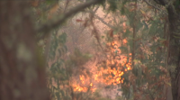 Deteñen un home como presunto autor dun incendio en Ribeira en agosto