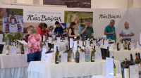 A vila de Cambados convértese, un ano máis, na capital do viño albariño