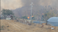 Máis de dez mil hectáreas arrasadas no incendio que segue activo na provincia de Huelva