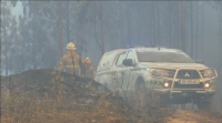 Van xa 30 feridos e 8.500 hectáreas queimadas polos incendios en Portugal