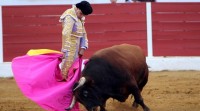 Portugal prohibe a entrada ás corridas de touros a menores de 16 anos