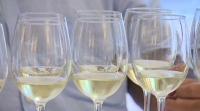 Vinte e dous expertos elixen os mellores viños na Cata Rías Baixas Albariño