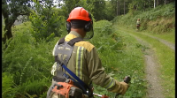 A Xunta e os concellos destinan 36 millóns para evitar incendios forestais