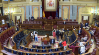 O Comité de Bioética de España rexeita que a eutanasia sexa un dereito
