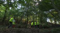 Voluntarios contra o lume en Gondomar