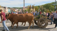 Paradela celebra a Feira do Ano cun desfile de carros tradicionais