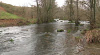 A contaminación impedirá a pesca nesta tempada nos últimos 8 km do río Furelos en Melide