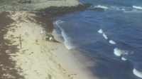 Aparecen dous caldeiróns mortos na praia das Polas de Foz