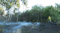 Controlado o incendio de Vilar de Barrio, que queimou 27 hectáreas de arboredo