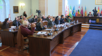 O pleno da Deputación de Lugo non consegue un acordo para defender os traballadores de Endesa