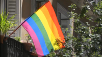 O Orgullo LGTBI 2020 trasládase á web obrigado pola pandemia