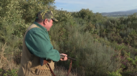 Os cazadores apoian a emerxencia cinexética polo xabaril en Galicia