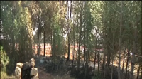 Morre unha persoa nun lume forestal na localidade arabesa de Villabuena