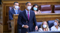 Sánchez di que defenderá os cidadáns fronte "a calquera interese e presión particular"
