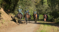 O escuadrón de cabalería da Garda Civil leva todo o verán protexendo os camiños