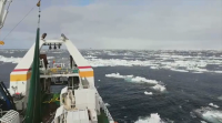 Os armadores galegos denuncian a Noruega por recortar as cotas de bacallau