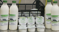 Unha granxa de Muxía lanzará ao mercado unha liña de iogures de leite fresco