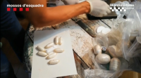 Deteñen doce persoas por tráfico de drogas en Barcelona