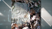Rouban dúas pedras gravadas no paseo do Sarela