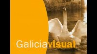 Galicia visual