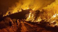 Estabilizado un incendio en Carballeda de Valdeorras que afecta unhas 200 hectáreas