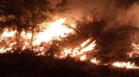 Un incendio forestal permanece activo en Chandrexa de Queixa e xa queimou 20 hectáreas