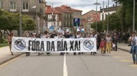 Centos de persoas piden en Pontevedra o peche definitivo da celulosa
