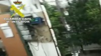 A Garda Civil incáutase dunhas mil plantas de marihuana no sur da provincia de Pontevedra
