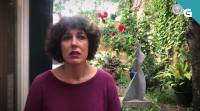 Lucía Álvarez