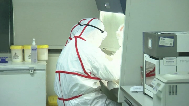 Científicos chineses alertan do perigo dunha nova pandemia por unha cepa da gripe porcina