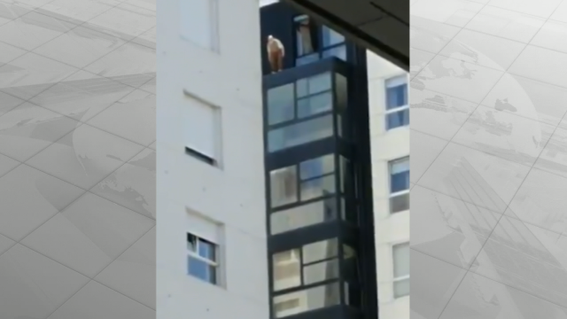 Dramático rescate dun ancián desorientado na ventá dun piso 12 en Vigo